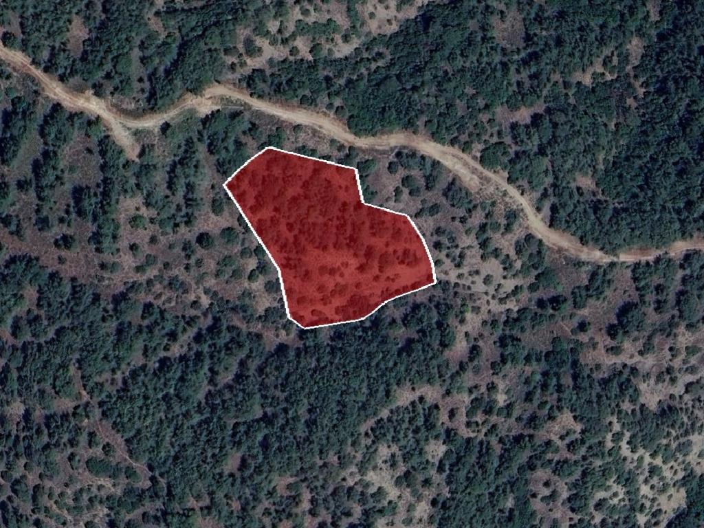 Field-Pera Pedi-PR42422