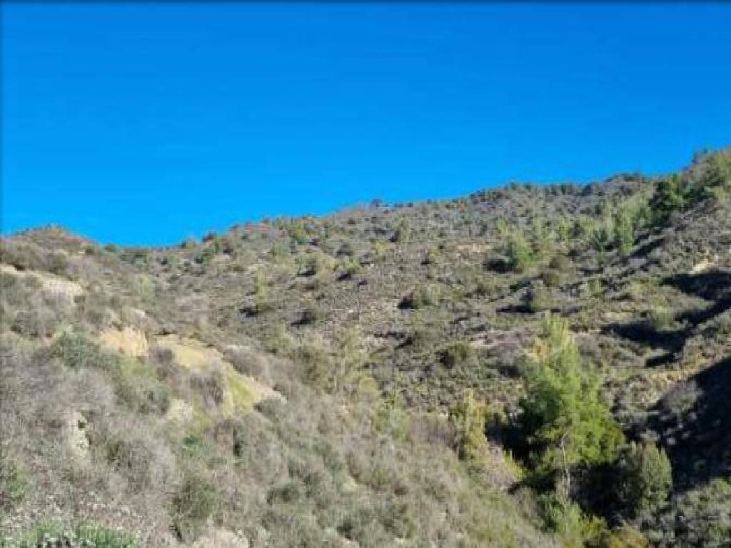 Field-Kalo Chorio-PR43078