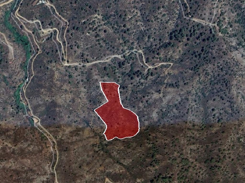 Field-Kalo Chorio-PR43078