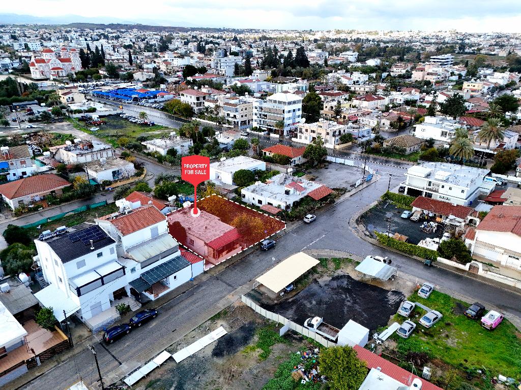 &Kappa;&alpha;&tau;&omicron;&iota;&kappa;ί&alpha;  - &Lambda;&alpha;&kappa;&alpha;&tau;ά&mu;&epsilon;&iota;&alpha;, &Lambda;&epsilon;&upsilon;&kappa;&omega;&sigma;ί&alpha;