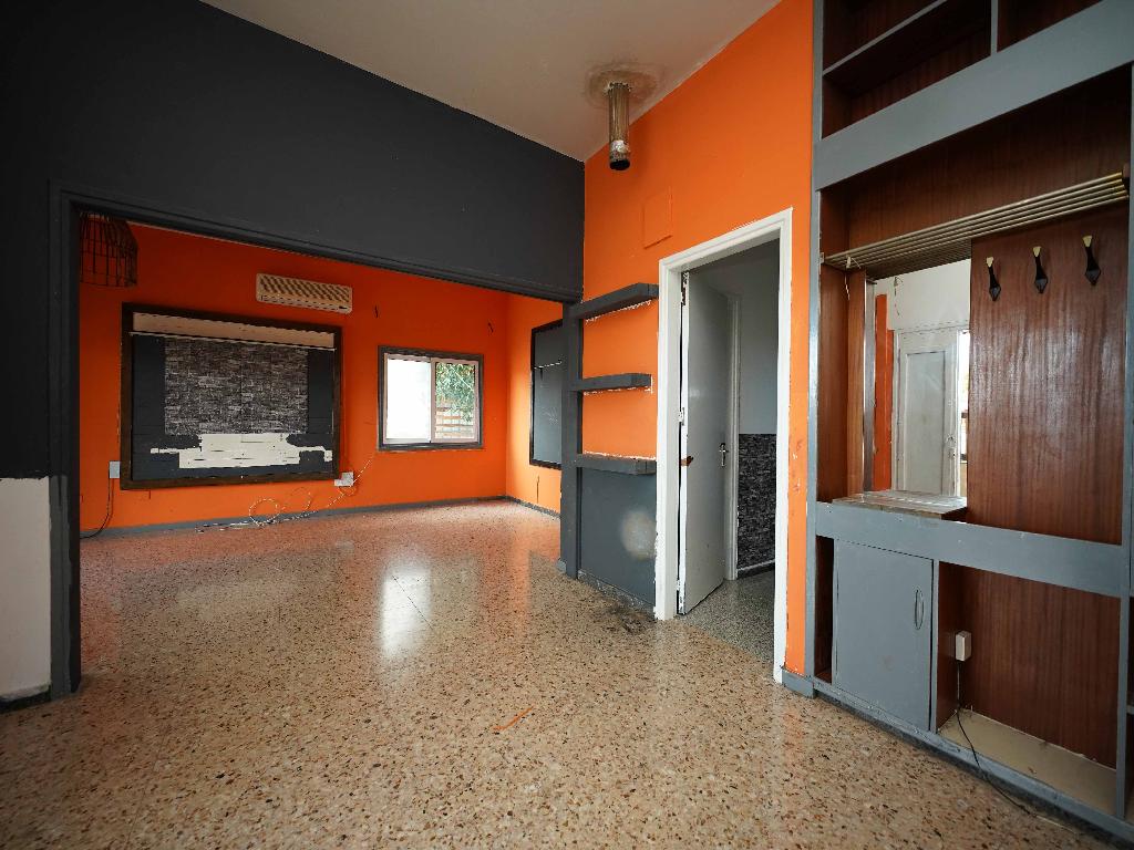 &Kappa;&alpha;&tau;&omicron;&iota;&kappa;ί&alpha;  - &Lambda;&alpha;&kappa;&alpha;&tau;ά&mu;&epsilon;&iota;&alpha;, &Lambda;&epsilon;&upsilon;&kappa;&omega;&sigma;ί&alpha;