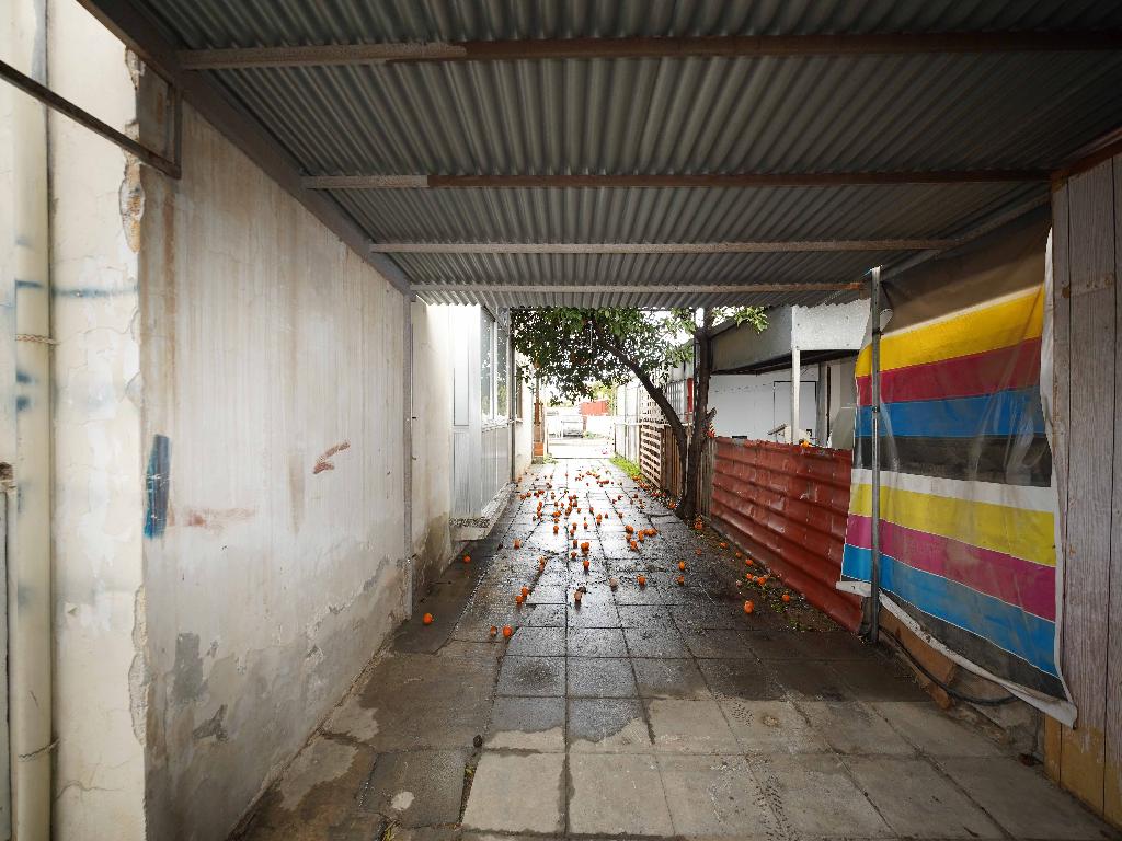 &Mu;&omicron;&nu;&omicron;&kappa;&alpha;&tau;&omicron;&iota;&kappa;ί&alpha;-&Lambda;&alpha;&kappa;&alpha;&tau;ά&mu;&iota;&alpha;-PR44579