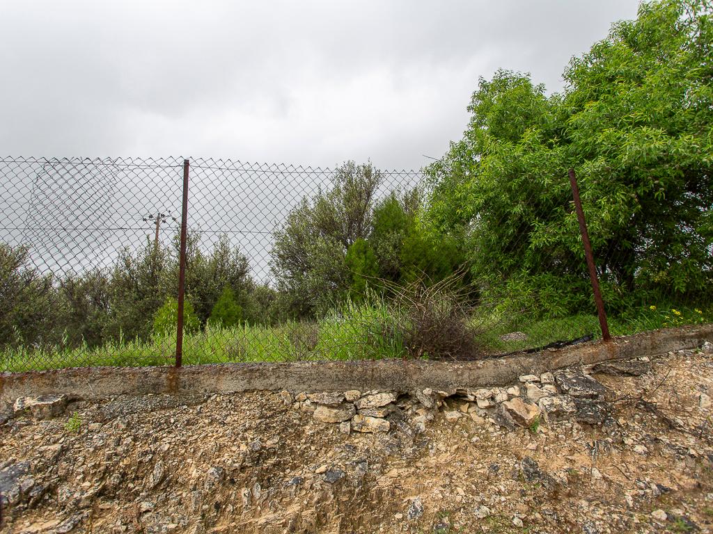 Field (share) - Paramytha, Limassol