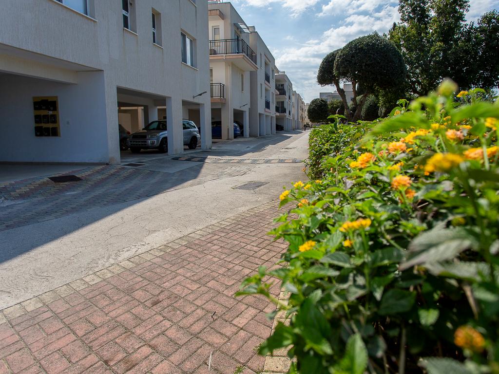 &Delta;&iota;&alpha;&mu;έ&rho;&iota;&sigma;&mu;&alpha;-&Pi;ό&lambda;&eta; &Chi;&rho;&upsilon;&sigma;&omicron;&chi;&omicron;ύ&sigmaf;-PR44148