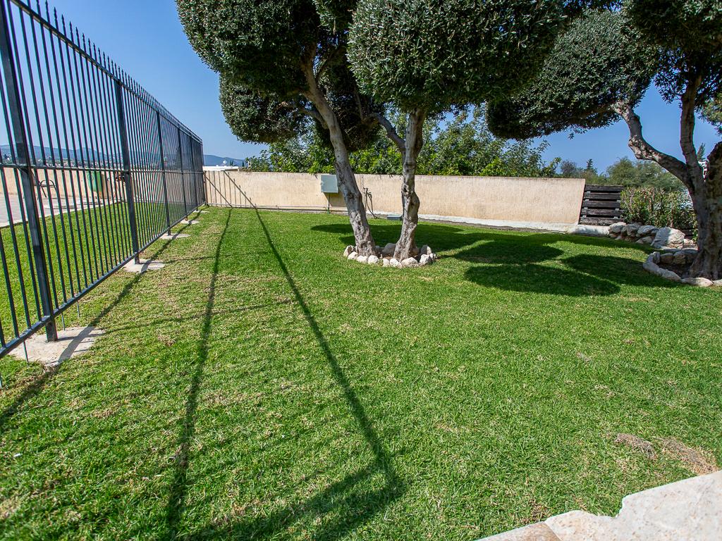 &Delta;&iota;&alpha;&mu;έ&rho;&iota;&sigma;&mu;&alpha; - &Pi;ό&lambda;&iota;&sigmaf; &Chi;&rho;&upsilon;&sigma;&omicron;&chi;&omicron;ύ&sigmaf;, &Pi;ά&phi;&omicron;&sigmaf;