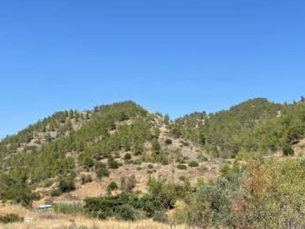Field-Gourri-PR13714