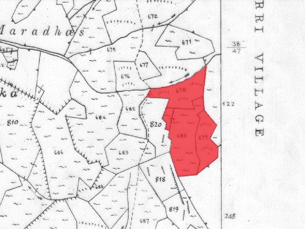 Field-Gourri-PR13714