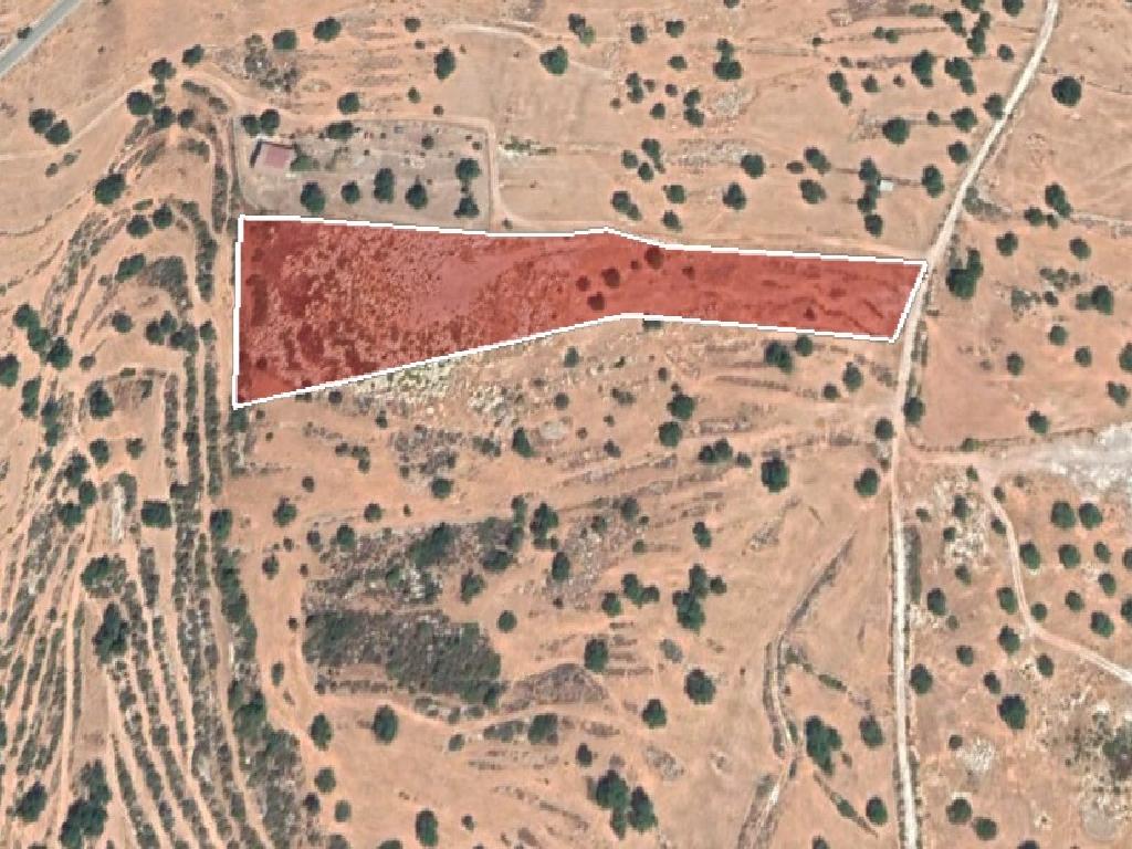 Field-Pachna-PR12029