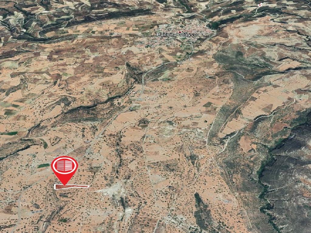 Field-Pachna-PR12029