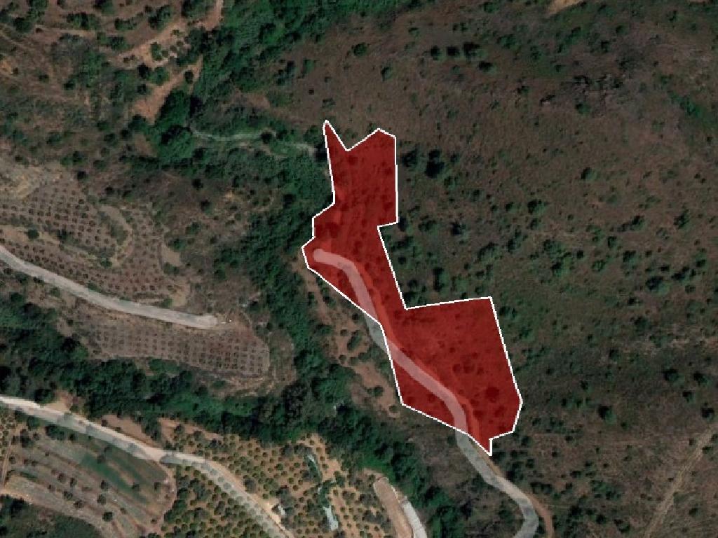 Field-Ora-PR11907