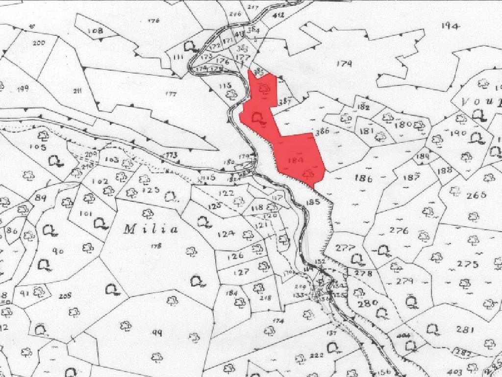 Field-Ora-PR11907