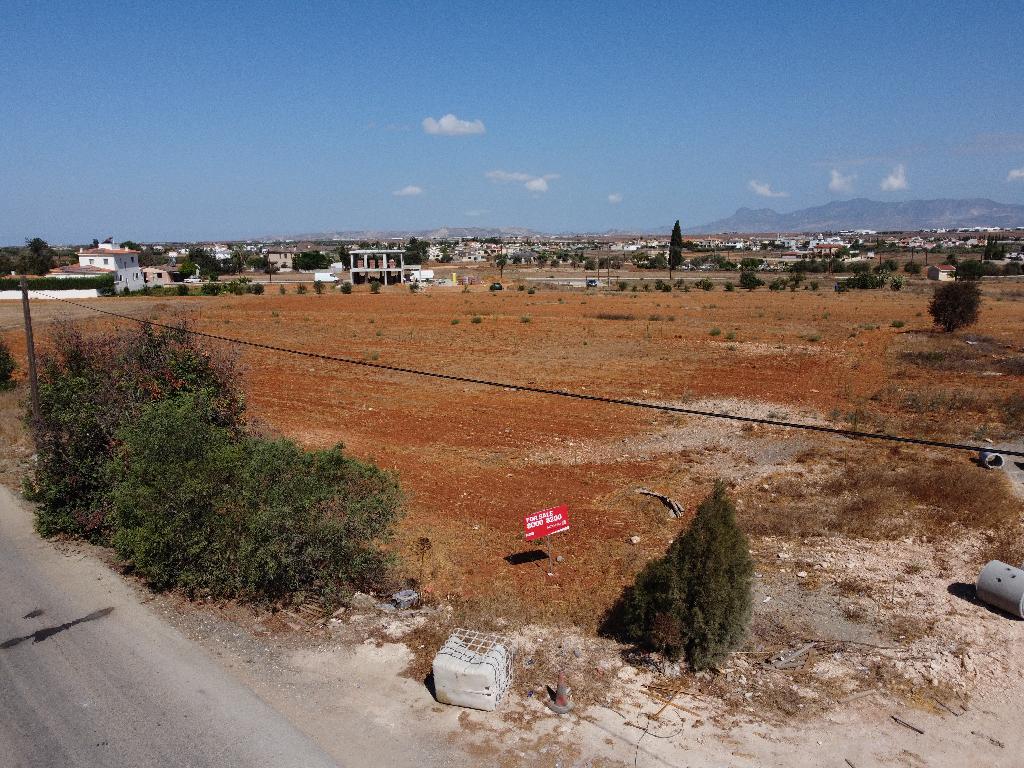Field - Kokkinotrimithia, Nicosia