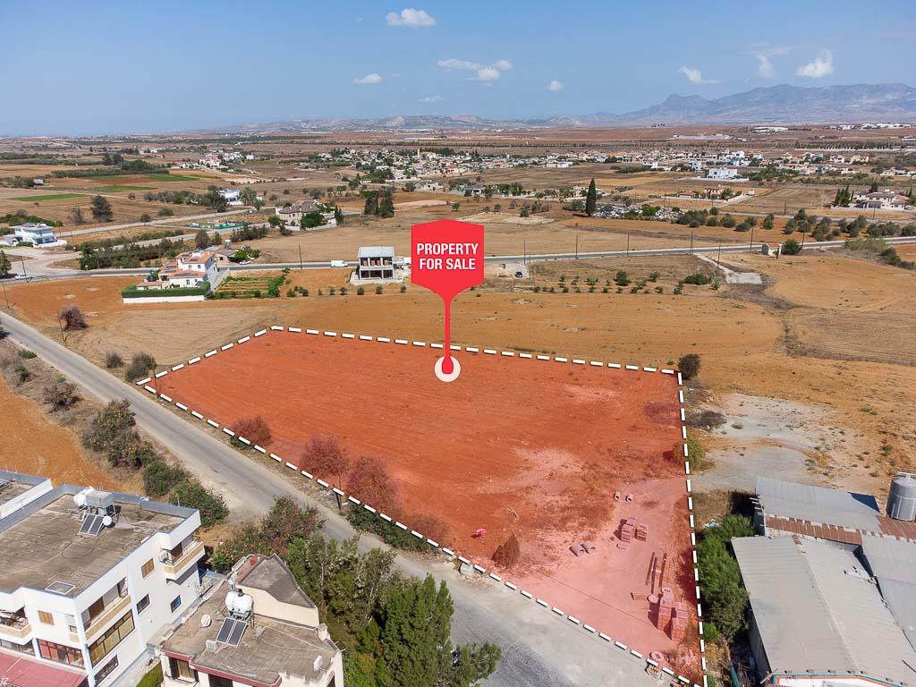 Field - Kokkinotrimithia, Nicosia