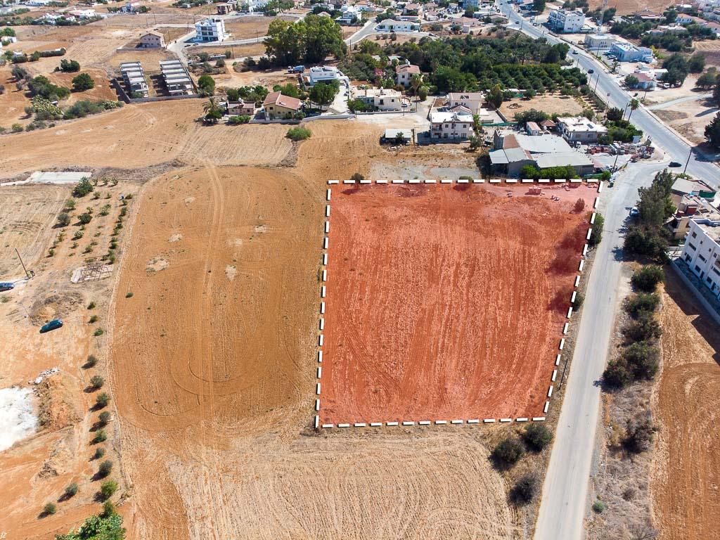 Field - Kokkinotrimithia, Nicosia