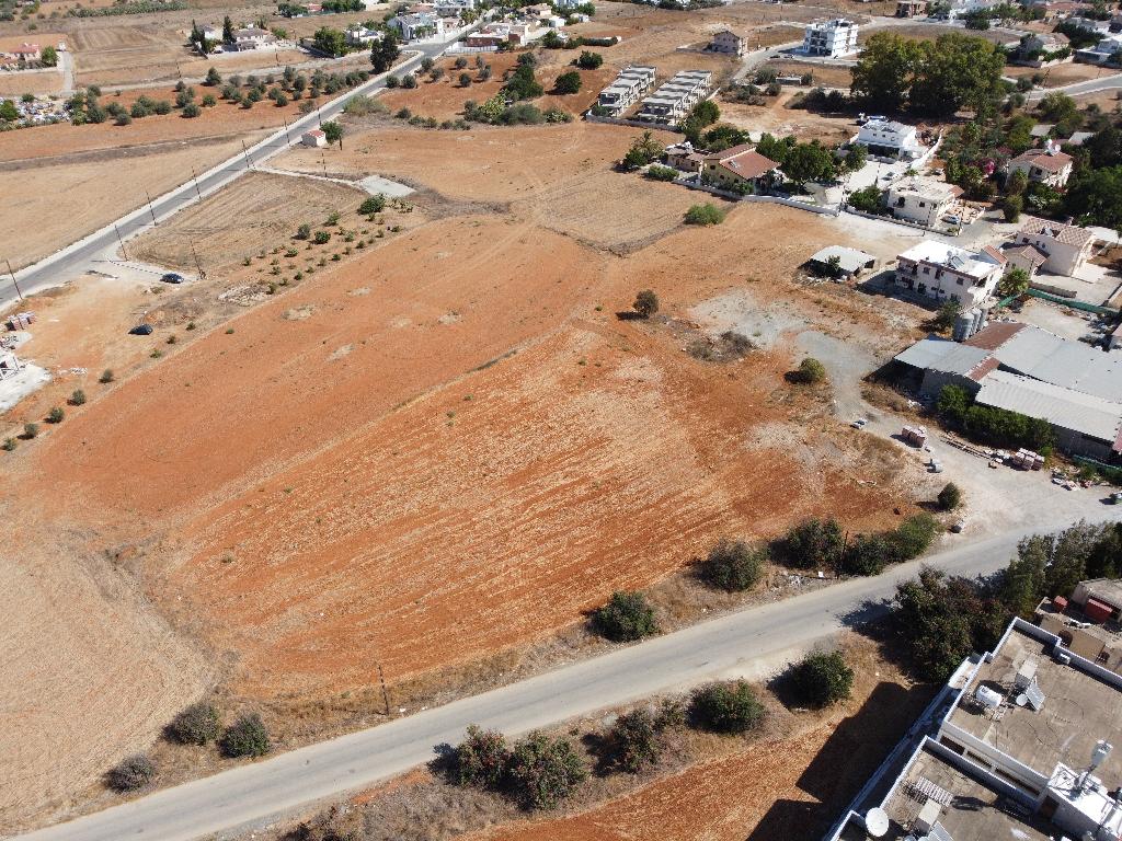 Field - Kokkinotrimithia, Nicosia
