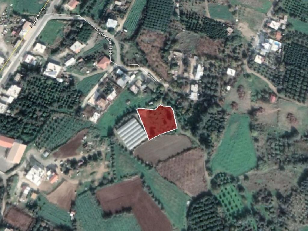 Field-Agia Marina (Chrysohous)-PR33622