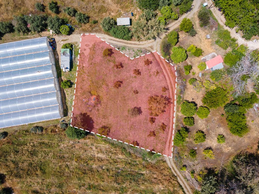 Field-Agia Marina (Chrysohous)-PR33622