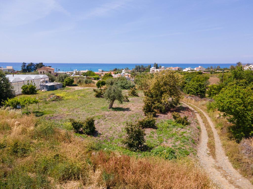 Field-Agia Marina (Chrysohous)-PR33622
