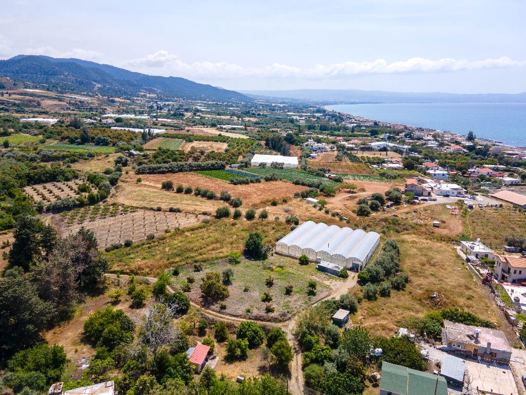 Field – Agia Marina Chrysochous, Paphos