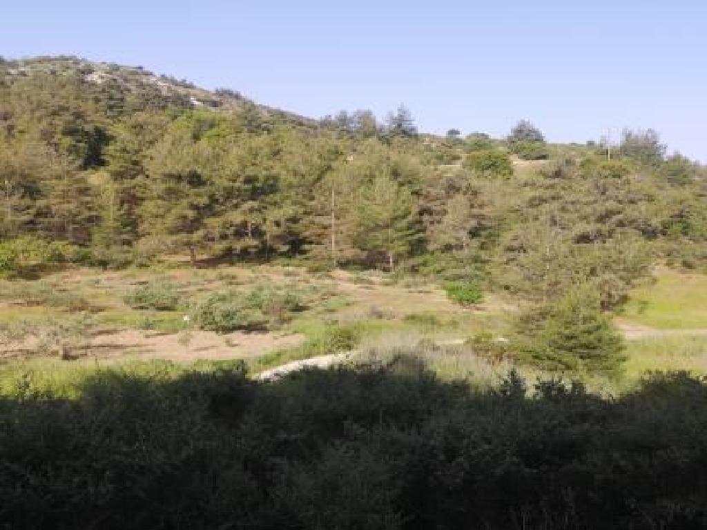 Field - Pano Panagia, Paphos