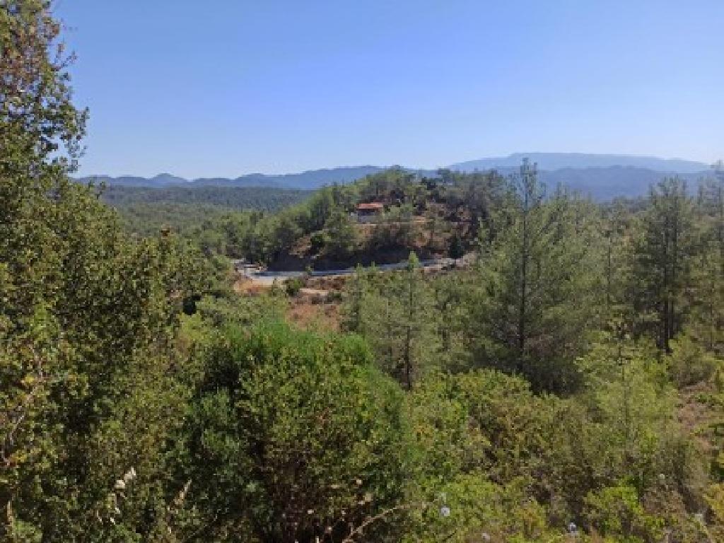 Field - Pano Panagia, Paphos
