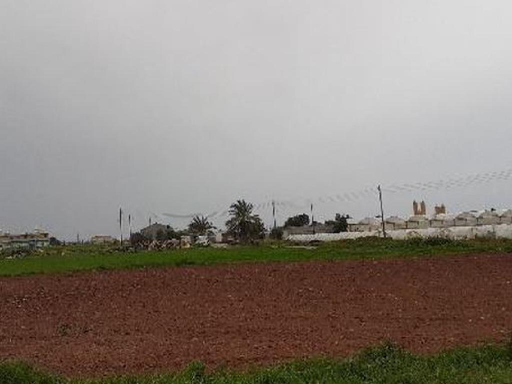 Field - Deryneia, Famagusta
