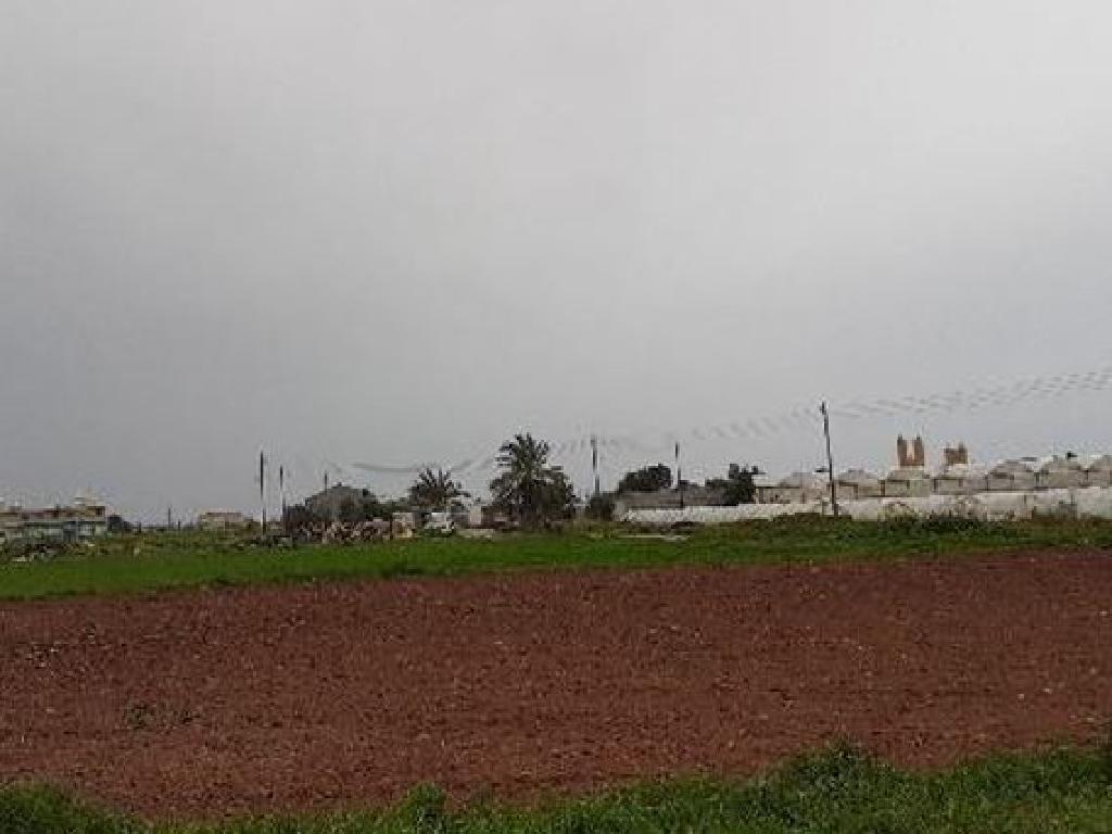 Field-Deryneia-PR34249