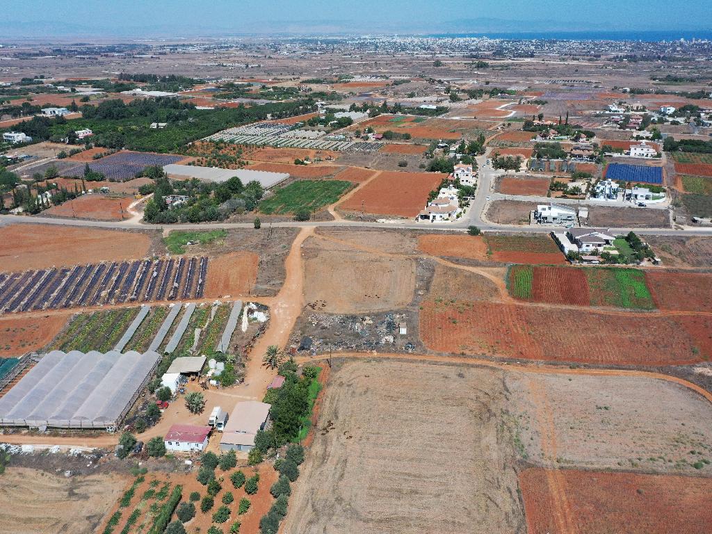 Field (share) - Deryneia, Famagusta