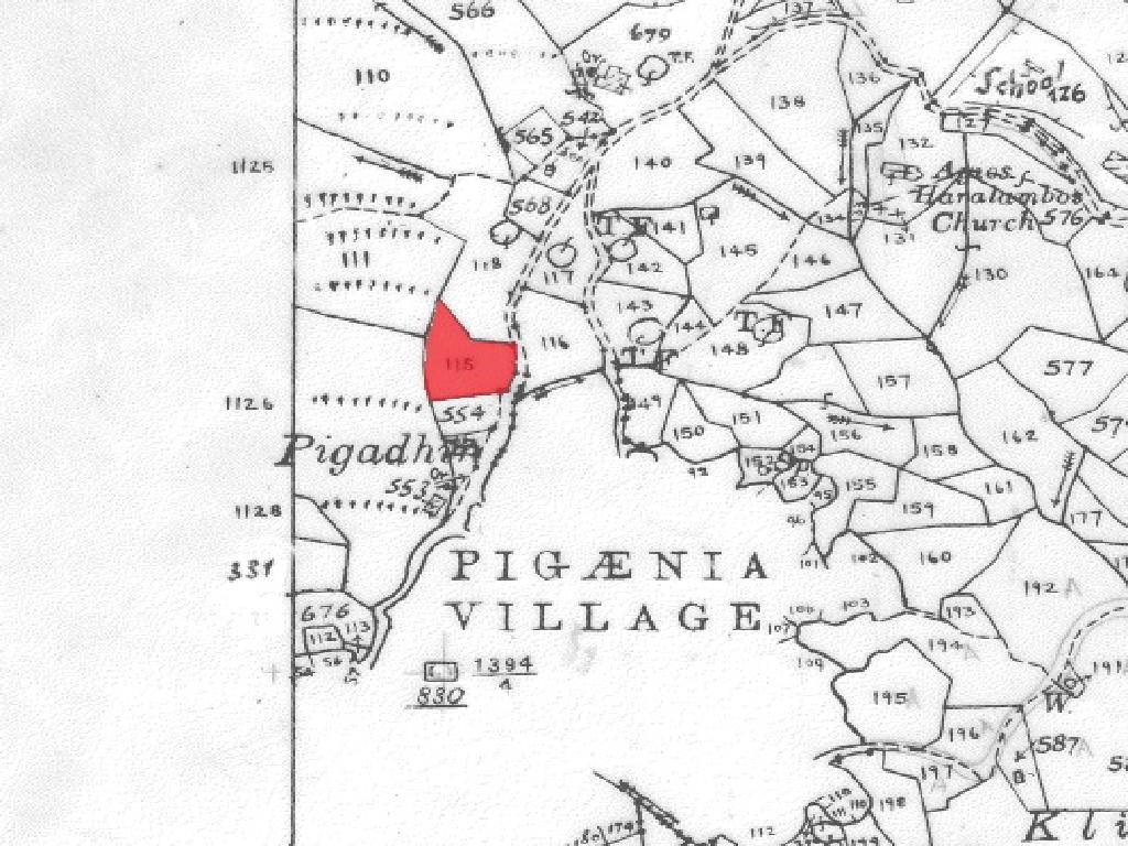 Field-Pigenia-PR36280