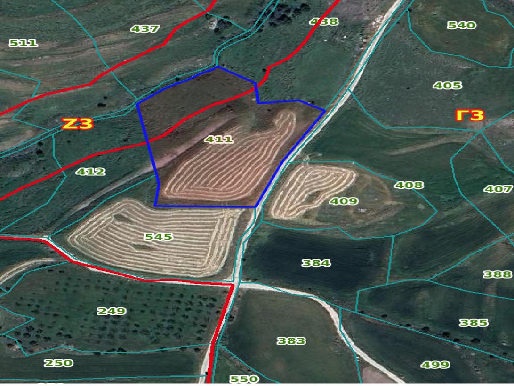 Field-Milia-PR37460
