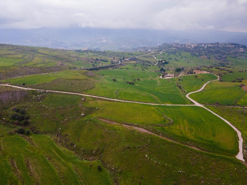 Field-Milia-PR37460