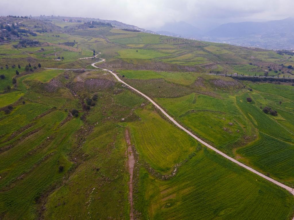 Field-Milia-PR37460