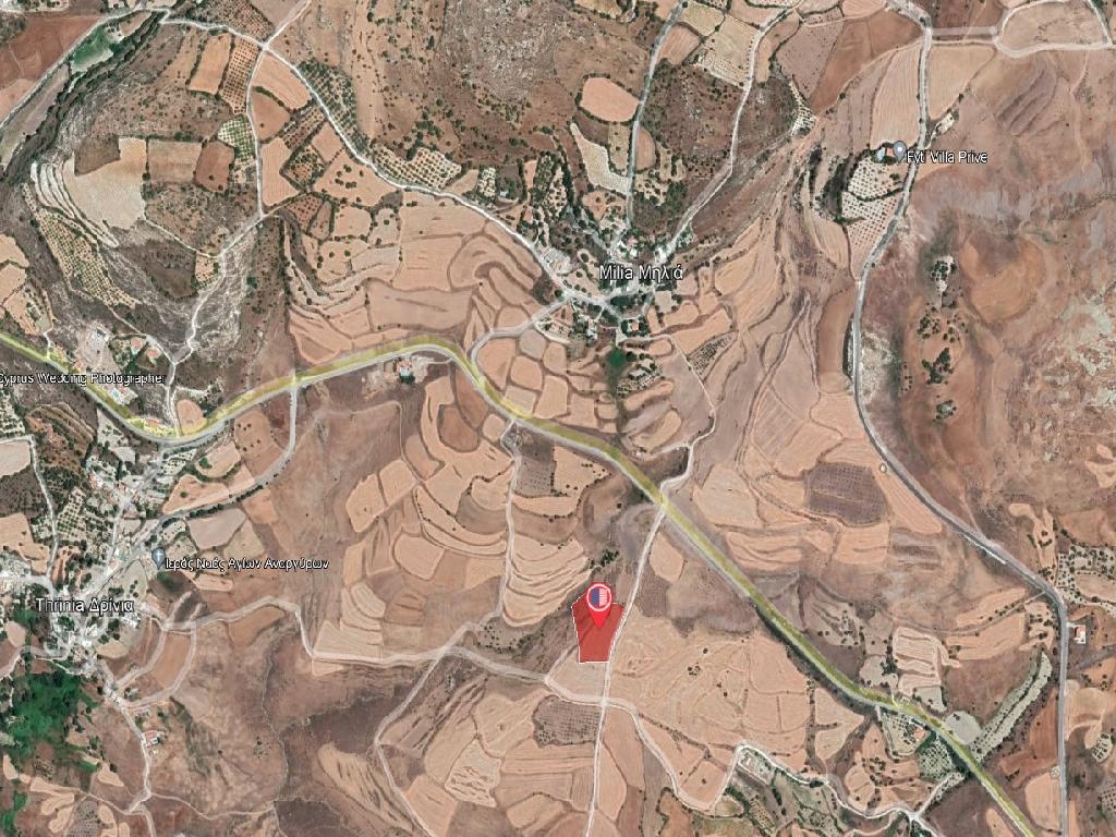 Field-Milia-PR37460