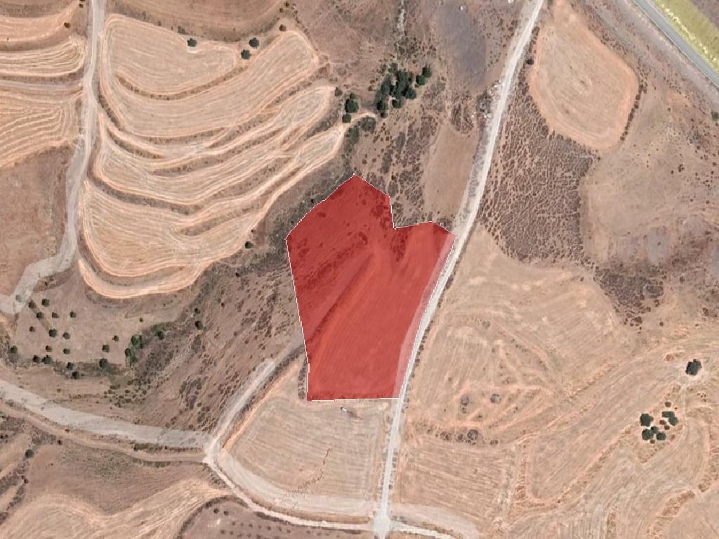 Field-Milia-PR37460