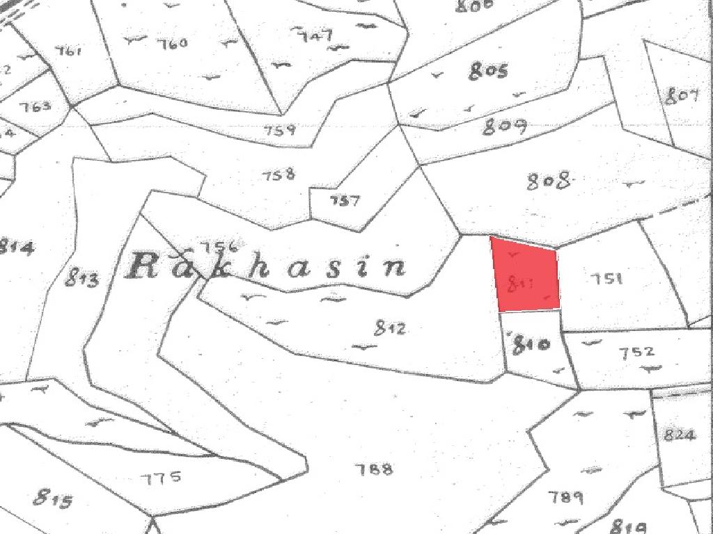 Field-Pachna-PR37798