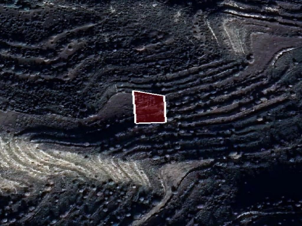 Field-Pachna-PR37798