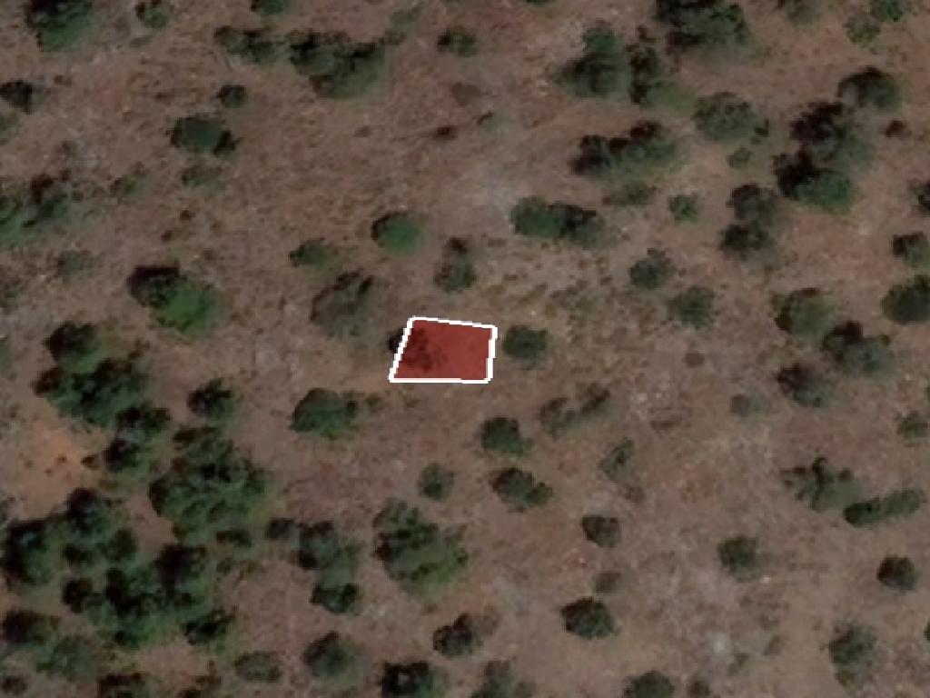 Field-Palaichori Orinis-PR37547