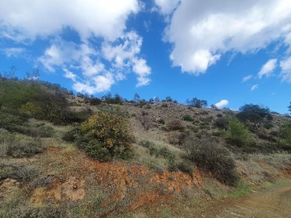 Field-Palaichori Orinis-PR37547