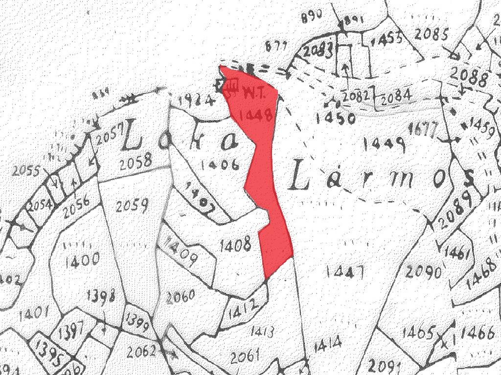 Field-Polistypos-PR38695