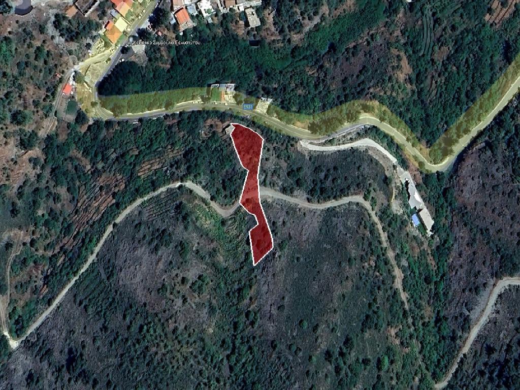 Field-Polistypos-PR38695