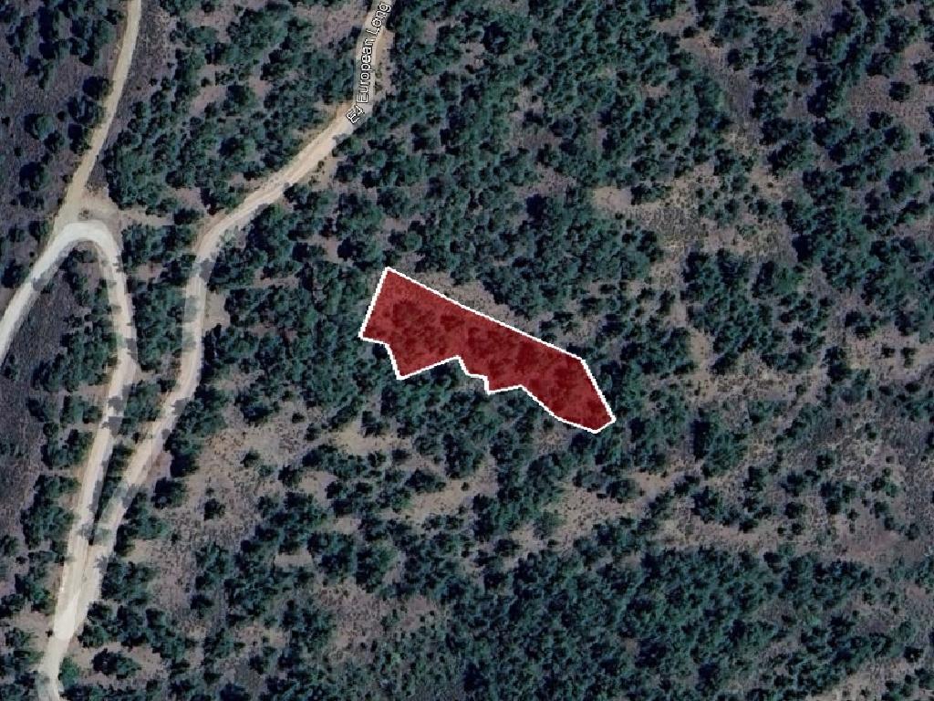Field-Platanistasa-PR38853