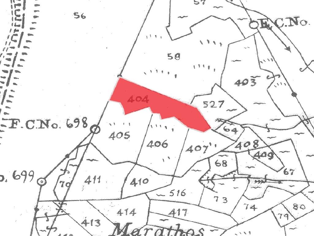 Field-Platanistasa-PR38853