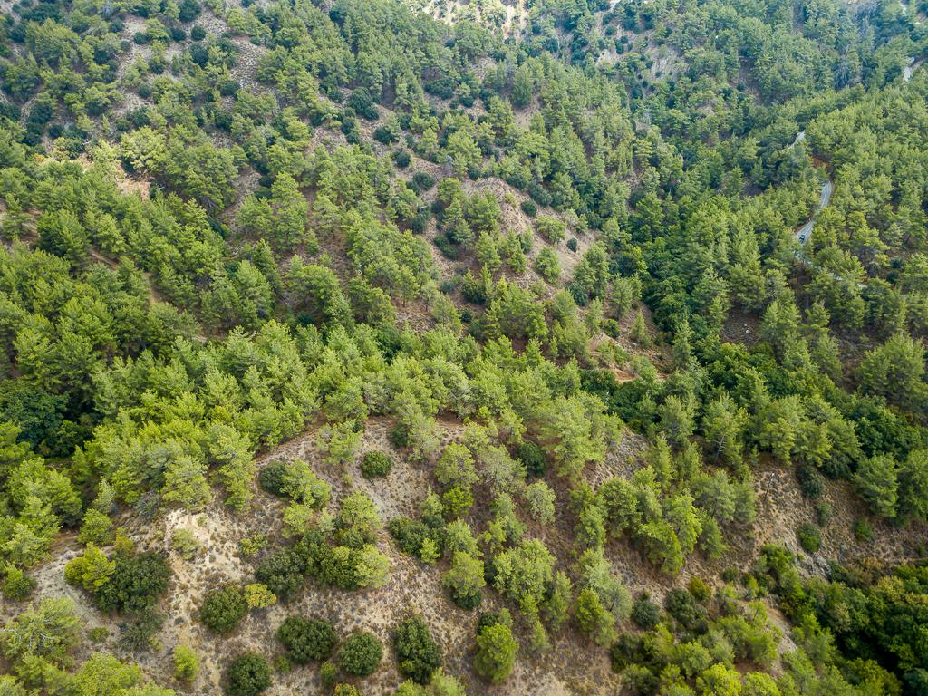 Field-Pano Platres-PR39431
