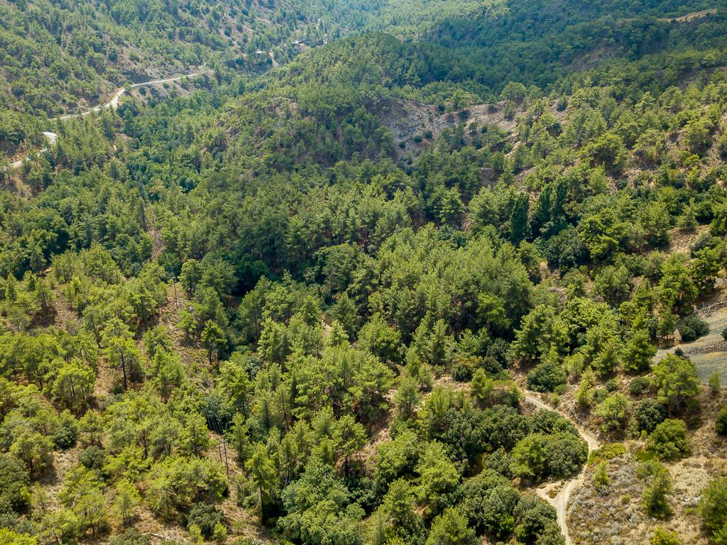 Field-Pano Platres-PR39431