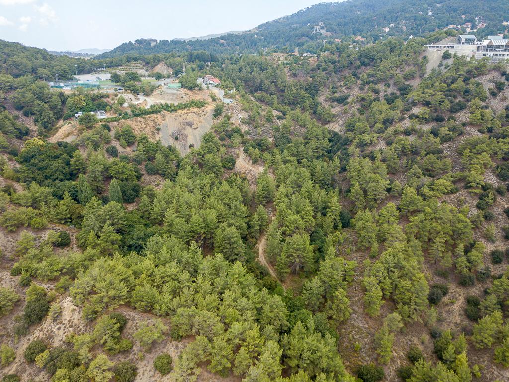 Field-Pano Platres-PR39431