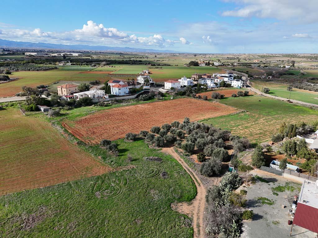 Field - Kokkinotrimithia, Nicosia
