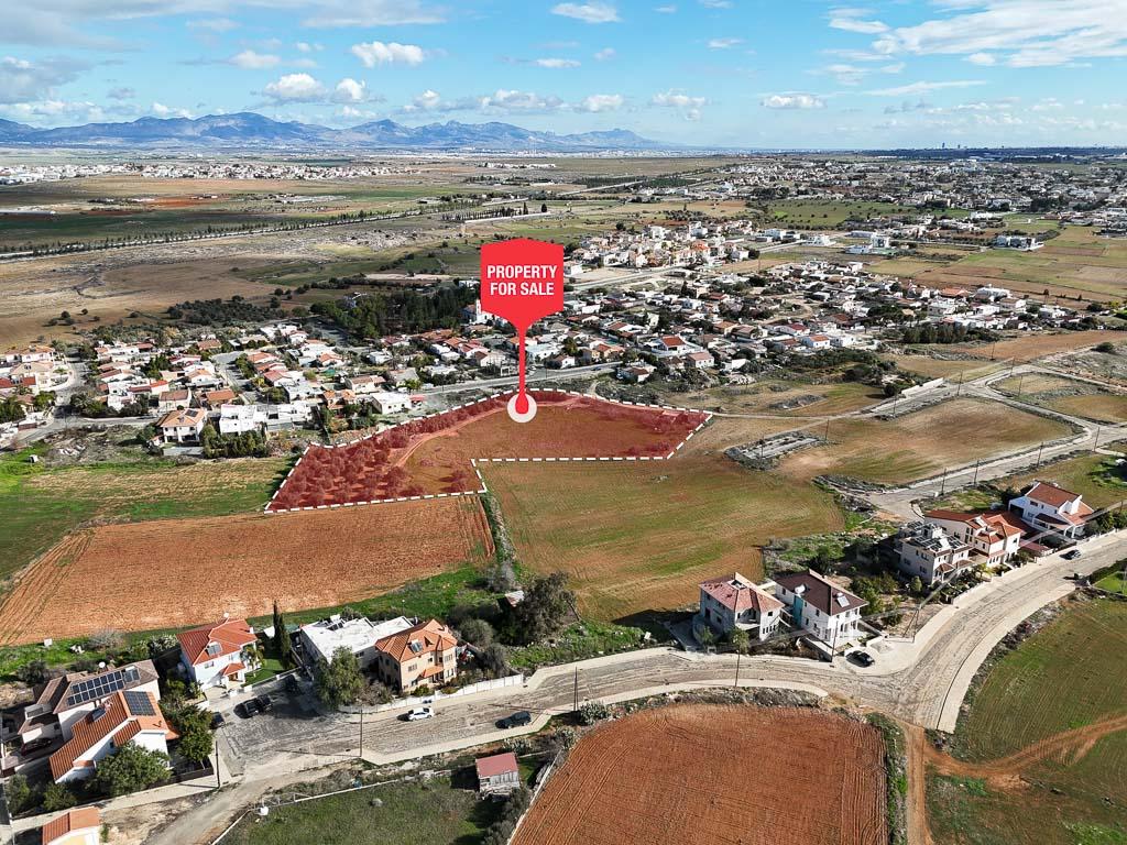 Field - Kokkinotrimithia, Nicosia