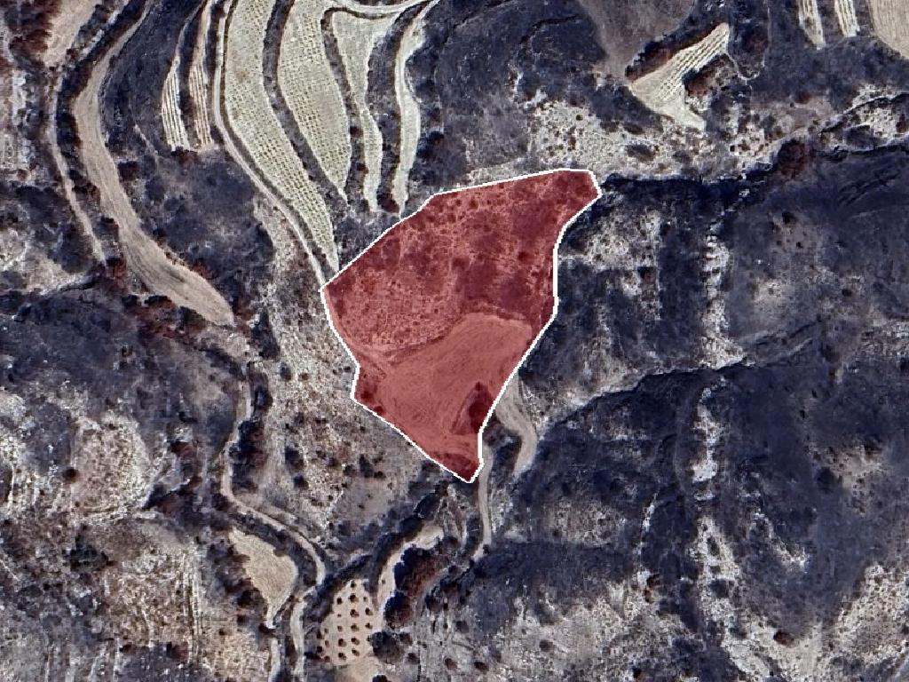 Field-Polemi-PR40973