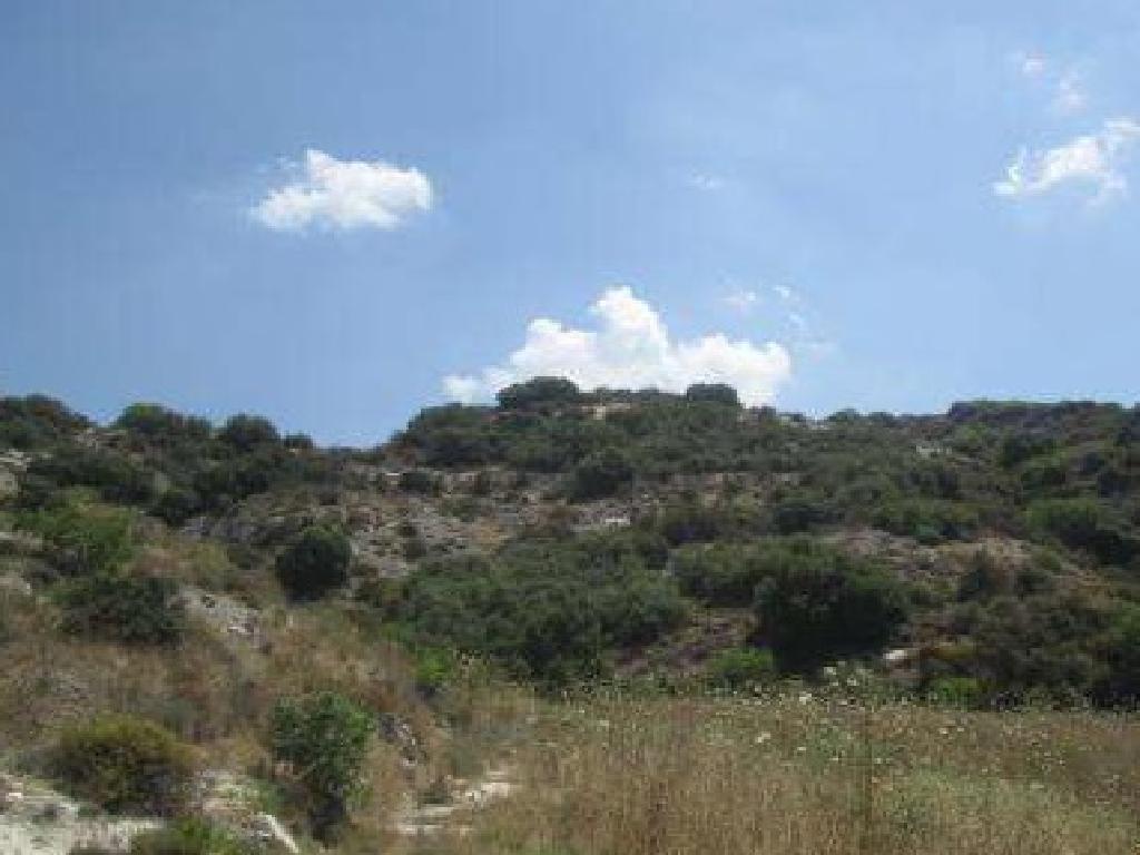 Field-Polemi-PR40973