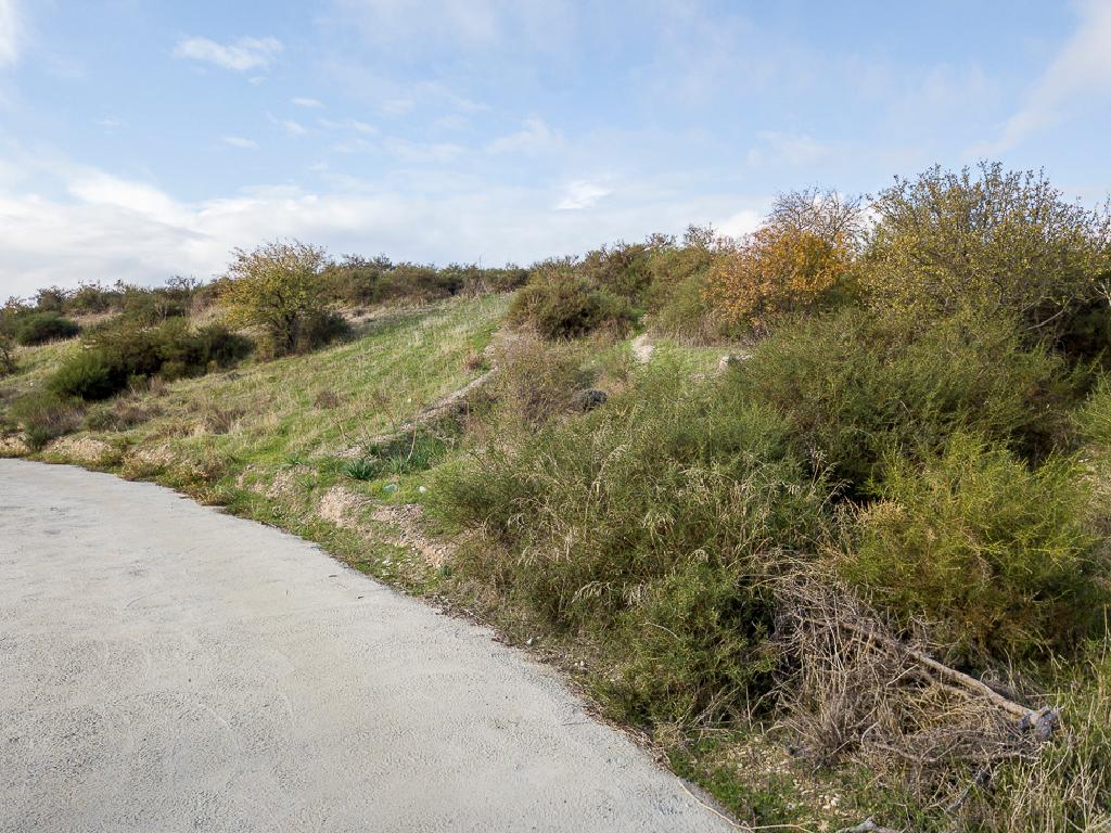 Field-Agios Amvrosios-PR41704